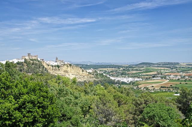 Aracena