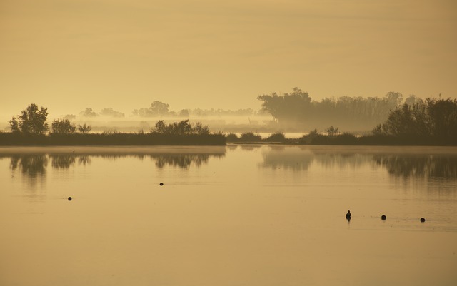 Nationaal Park Doñana